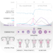 Basal Body Temperature Calculator